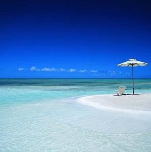 Meet your Posher, Dale